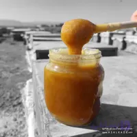 عسل گشنیز خام – ارگانیک