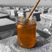 عسل محرمانه صاف شده – ارگانیک