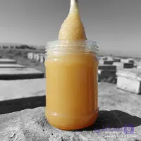 عسل بهارنارنج خام – ارگانیک