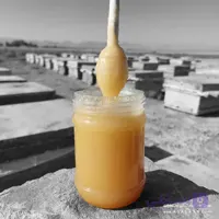 عسل خارشتر خام – ارگانیک