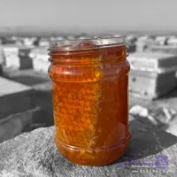 عسل گشنیز موم دار – ارگانیک