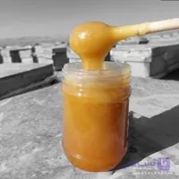 عسل محرمانه خام – ارگانیک