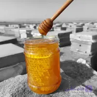 عسل بهارنارنج موم دار – ارگانیک