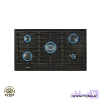 اجاق گاز نیک کالا مدل EGH-202 پلوپز وسط صفحه یکپارچه