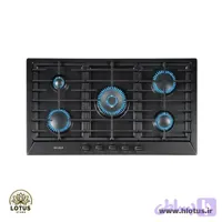 اجاق گاز نیک کالا مدل EGH-101 پلوپز وسط