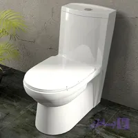 توالت فرنگی گلسار مدل کلین 70 واش داون توربو + شیربیده