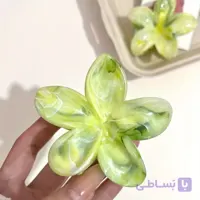 کلیپس پلومریا سرامیکی نشکن