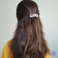 گیره فرانسوی پروانه زایا