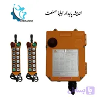 ریموت کنترل TELECRANE F24-10D