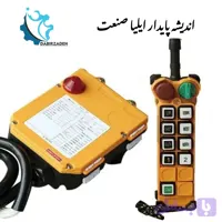 ریموت کنترل TELECRANE F24-8D