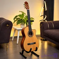 گیتار Aria Ak30 CUT