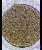 زیره سبزوتمیزیک کیلو