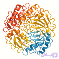 آلبومین سرم گاوی (BSA)