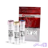 آنزیم DNA پلیمراز هات استارت Taq – شیمیایی