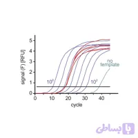 مستر میکس ریل تایم سایبرگرین (2X)