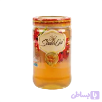 عسل آرین 900 گرمی بی موم شهرگل