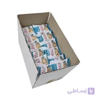 کشک چیپسی با طعم ساده نمکی| 25 گرمی(کارتن 70 عددی )