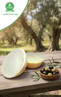 صابون پیاله ای طبیعی