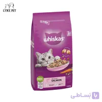 غذای گربه سالمون ویسکاس
