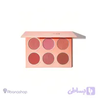 پالت رژگونه پودری مدل Floral Flush رنگ Cottage Core Garden شیگلم