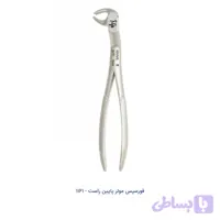 فورسپس بزرگسالان مولر پایین راست