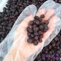 آلبالو خشکه ملس (250گرمی)