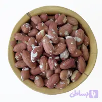 بادام زمینی آستانه (کد Q51MH)