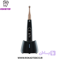 موتور اندو بی سیم وودپکر Ai-Motor Black