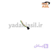 سوکت سوزنی دو فیش پژو 206