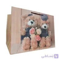 پاکت هدیه دوستی عروسکی کد 1052 بسته 2 عددی