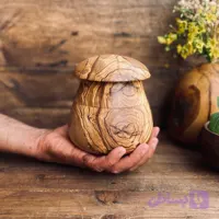 ظرف دربدار زیتون کد 10001