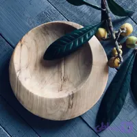 ظرف پذیرایی کد 805