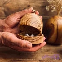 ظرف دربدار زیتون کد 10003