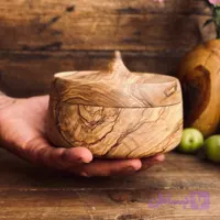 ظرف دربدار زیتون کد 1000