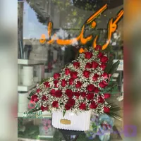 باکس گل باربد