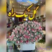 باکس گل میکائیل