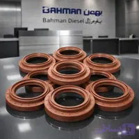 کاسه نمد دیفرانسیل فورس