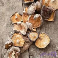 قارچ شیتاکه