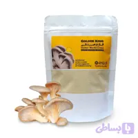 قارچ صدفی