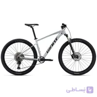 دوچرخه جاینت مدل (2024) Talon 0 29 نقره ای