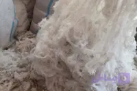 سرنخ