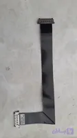 فلت مین برد به تیکان