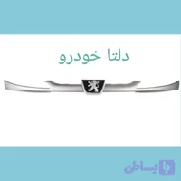 جلو پنجره پژو ۲۰۶