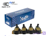 کوئل شاهین کروز