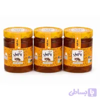 عسل چند گیاه 3کیلویی (3عدد 1کیلویی)