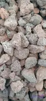 پوکه بادامی