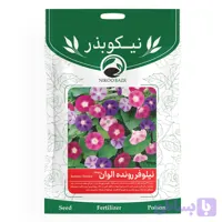 بذر گل نیلوفر رونده اَلوان (پیچک)نیکوبذر