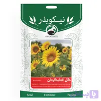 تخم گل آفتابگردان خوراکی نیکوبذر