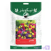 بذر گل اطلسی نیکوبذر