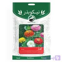 بذر گل آهار نیکوبذر